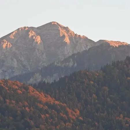 Villa “vila Anastasia” Nature - Brasov,