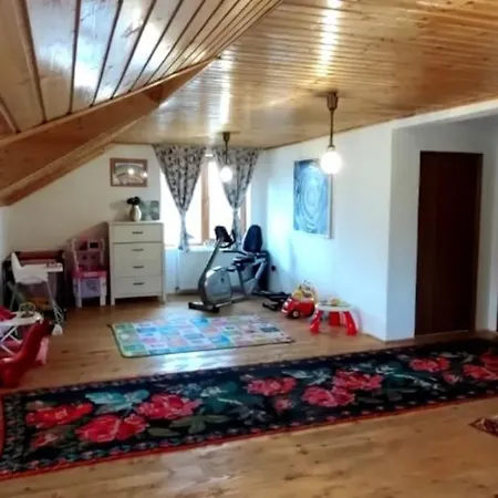 Villa “vila Anastasia” Nature - Brasov, Risnov