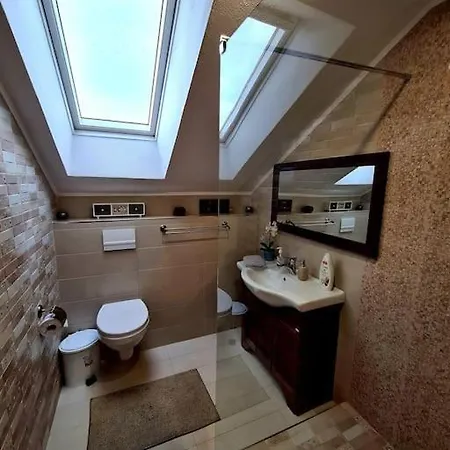 “vila Anastasia” Nature - Brasov, Villa *