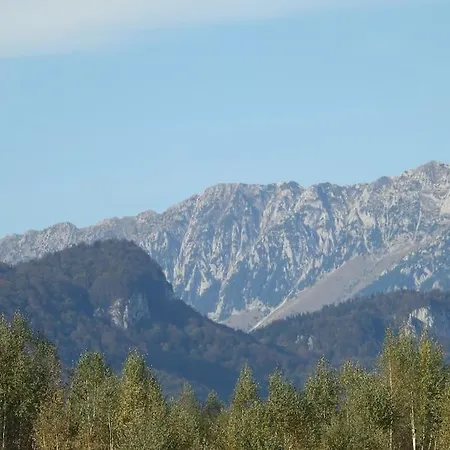 “vila Anastasia” Nature - Brasov,