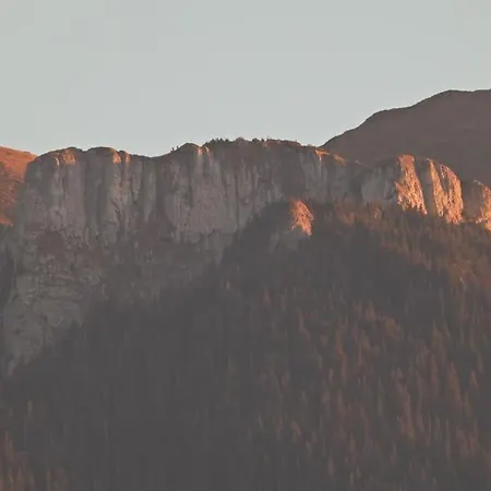 “vila Anastasia” Nature - Brasov, *