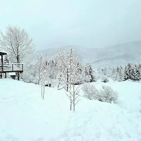 Villa “vila Anastasia” Nature - Brasov,