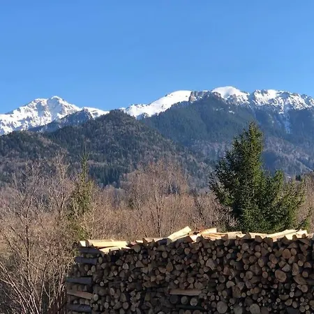 Villa “vila Anastasia” Nature - Brasov,