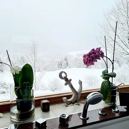 Villa “vila Anastasia” Nature - Brasov,