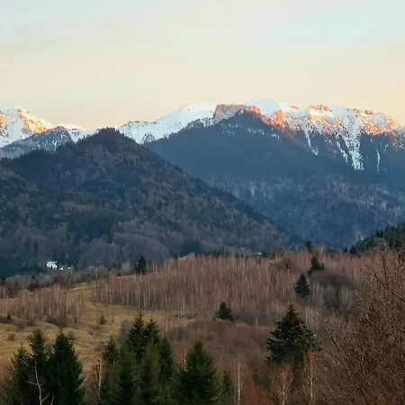 “vila Anastasia” Nature - Brasov, Villa Risnov